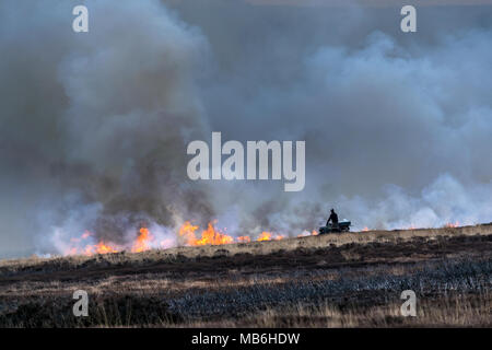 Burning the Moors. North Yorks Moors. England Stock Photo