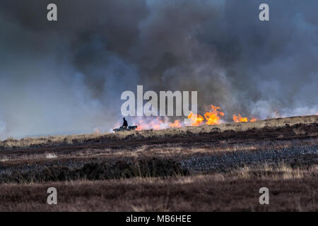 Burning the Moors. North Yorks Moors. England Stock Photo
