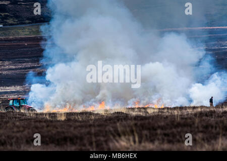 Burning the Moors. North Yorks Moors. England Stock Photo