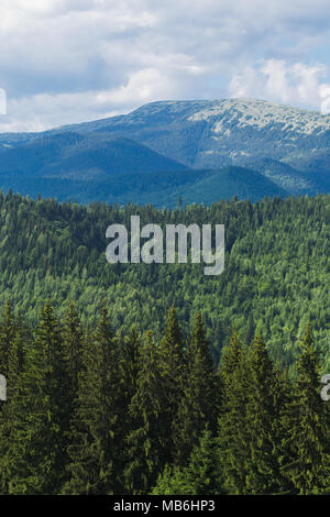 Above view of beautiful cloudy summer landscape. Tops of mountains and old thick wood growing on hills. Vertical color image. Stock Photo