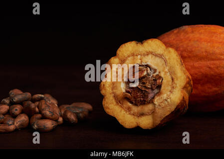 Cacao beans close up with cocoa pods fruit. Handmade natural making chocolate Stock Photo