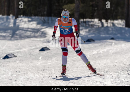 Norwegian skiing girls championship Stock Photo