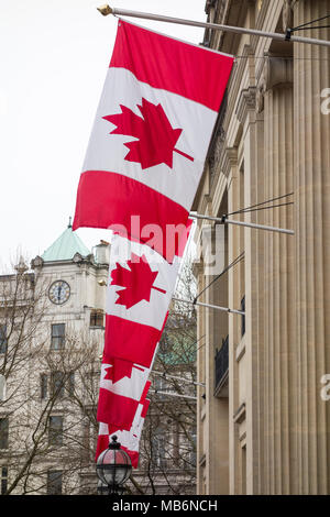 Maple Leaf flags (l'Unifolié) flying outside Canada House, the High Commission of Canada, on Trafalgar Square, London, UK Stock Photo