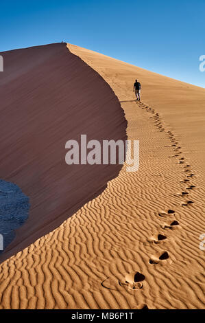 man ist walking up dune 45, desert landscape of Namib Stock Photo
