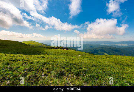 grassy hillside meadow in the morning. mountain peak in the distance under the blue sky with fast moving clouds Stock Photo