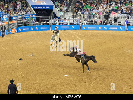 Bareback Bronc riding on a bucking bronco horse, example of American lifestyle, Houston Livestock Show and Rodeo, Houston, Texas USA Stock Photo