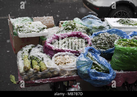 Changchu, Changchu, China. 5th Apr, 2018. Changchun, CHINA-5th April 2018: The snowfall in Changchun, northeast China's Jilin Province, April 5th, 2018. Credit: SIPA Asia/ZUMA Wire/Alamy Live News Stock Photo