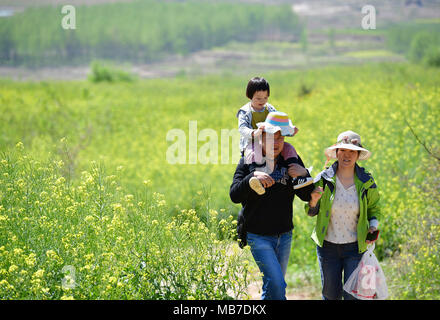 Xi'an, China's Shaanxi Province. 7th Apr, 2018. Tourists walk through a cole flower field in Xi'an City, northwest China's Shaanxi Province, April 7, 2018. Credit: Shao Rui/Xinhua/Alamy Live News Stock Photo