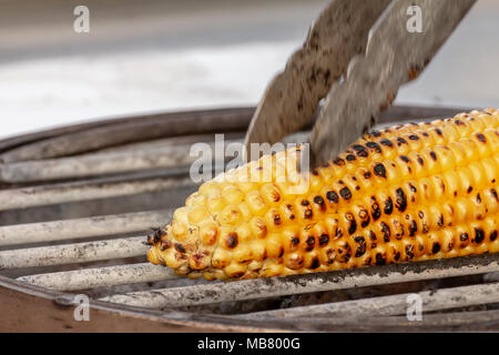 Corn roasted on fire, grilled maize, Zea mays Stock Photo