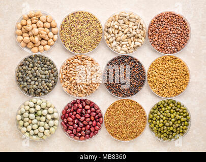 set of organic sprouting seeds and beans in Petri dishes, from top left - garbanzo, red clover, sunflower, radish, French lentils, wheat, broccoli, fe Stock Photo