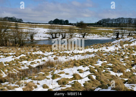 Charterhouse Lead Mine Ponds in Snow, Mendip Hills, Somerset Stock Photo