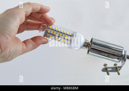 Close-up of human hand is screwing corn shaped LED lamp into lampholder of  household ceiling-mounted electrolier. Stock Photo