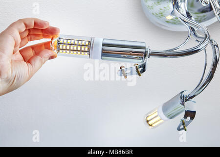 Installation of domestic LED lamps corn type, in lampholder of ceiling light, female hand is screwing bulb in threaded socket. Stock Photo