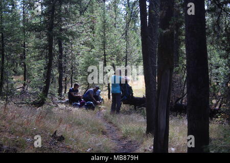 Photos from Yellowstone and Grand Tetons National Park Stock Photo