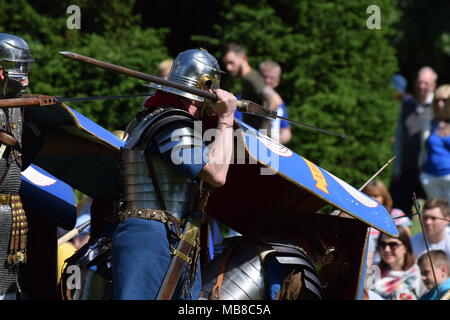 Roman Legions putting on a display at York's Eboracum festival Stock Photo