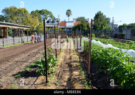 City urban community farm at Camperdown NSW Australia Stock Photo