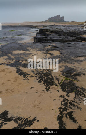 A misty wet day at Bamburgh beach Stock Photo - Alamy