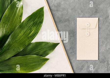 Fresh, green leaves lying on a white and gray background next to a greeting card envelope made of natural, brown paper Stock Photo