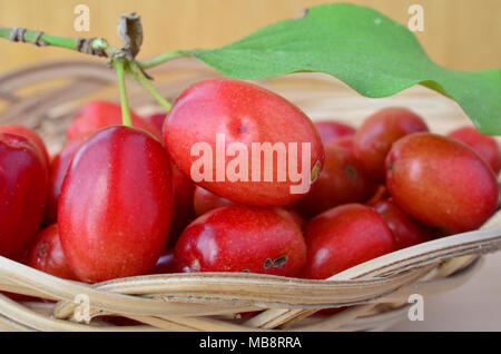 Organic fresh, ripe, red dogwood berries, healthy and delicious, in a wicker basket, macro shot Stock Photo