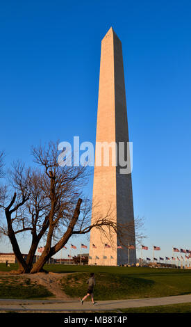 The Washington monument and the Stars and Stripes, Washington, DC Stock Photo