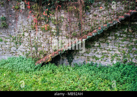 Abandoned stairs covered with lush foliage in front of stone wall Stock Photo
