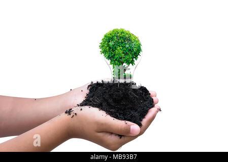 hand holding black soil and broken lamp or bulb with small plant inside, idea for environment and nature safe isolated on white background Stock Photo