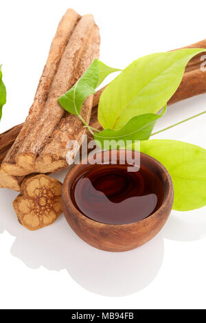 Ayahuasca medicine. Banisteriopsis caapi wood, psychotria leaves and ayahuasca brew in wooden bowl isolated on white background. Tradtional plant medi Stock Photo