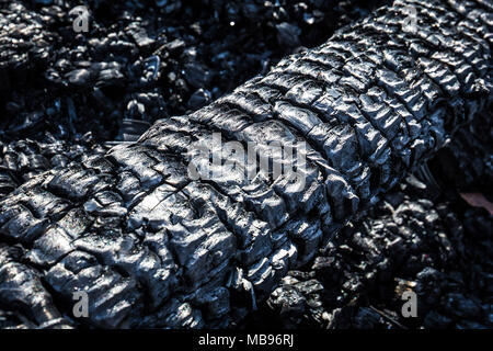 Burned wood ash texture close up macro Stock Photo