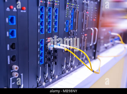 Fiber optic cable connected to card interface of networking switch Stock Photo