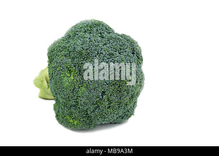 Head of fresh organic broccoli on white background Stock Photo