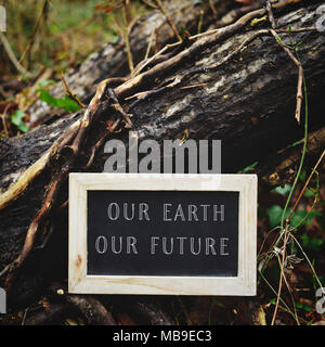closeup of a wooden-framed chalkboard with the text our earth our future written in it, on the trunk of a tree in the woods Stock Photo