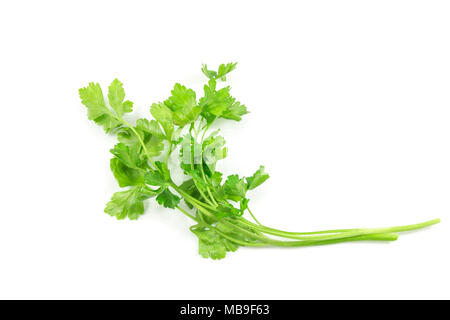 Parsley isolated on a white background with a clipping path. Stock Photo