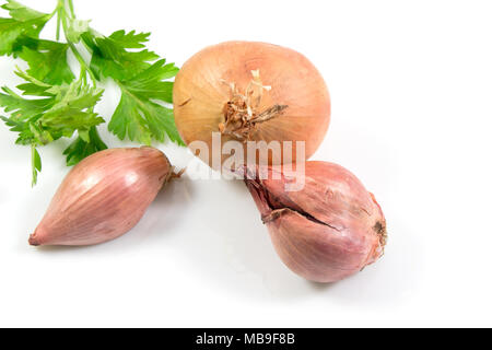 various onions and parsley, spices isolated on white background, top view Stock Photo
