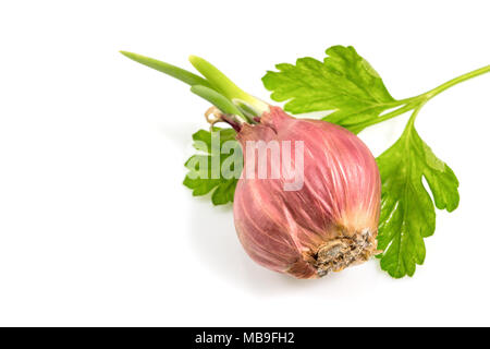 Red onions with parsley leaves isolated on white background, top view with clipping path Stock Photo