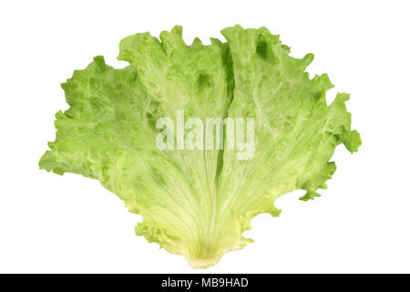 Fresh salad leaf, lettuce leaf isolated on white background, with clipping path Stock Photo
