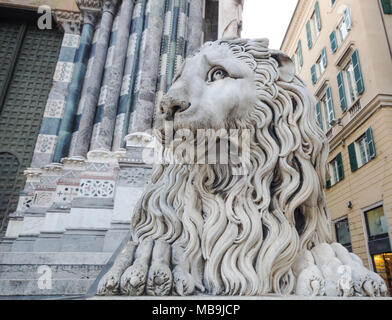 Statue of lion outside the church or cathedral the place is famous in the city center in Genoa Italy, Cattedrale di San Lorenzo Stock Photo