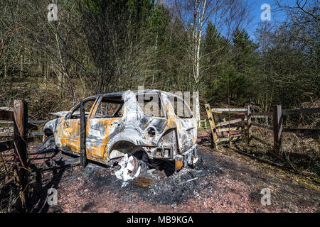 Burnt out vehicle blocking a woodland path Stock Photo