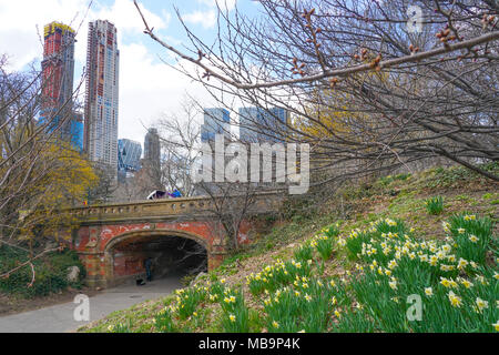 New York, USA. 8th April, 2018. Spring weather In Central Park, New York. Photo date: Sunday, April 8, 2018. Photo: Roger Garfield/Alamy Entertainment Credit: Roger Garfield/Alamy Live News Stock Photo