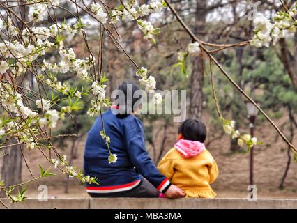 Beijing, China. 9th Apr, 2018. People enjoy the view of flowers at Yuandadu Park in Beijing, capital of China, April 9, 2018. As the temperature turns warmer in Beijing, spring is in the air. Credit: Li Xin/Xinhua/Alamy Live News Stock Photo