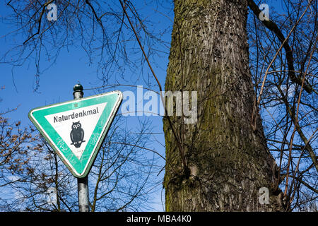 04 April 2018, Germany, Berlin: A sign reading 'Naturdenkmal' (lit. natural monument) next to a common oak at Volkspark Friedrichshain. Photo: Jens Kalaene/dpa-Zentralbild/dpa Stock Photo