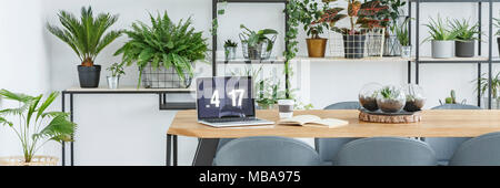 Coffee cup, laptop and opened book placed on a wooden table in white interior with many plants Stock Photo