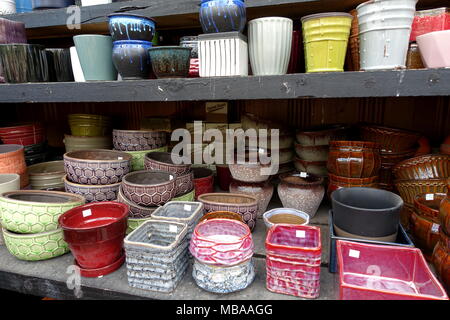 Variety of succulents and flower Pots for sale at the garden nursery Stock Photo