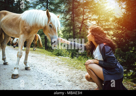 young woman with curly hair petting a horse in the woods during sunset Stock Photo