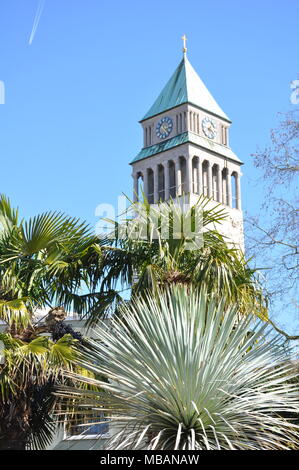 Clock tower over palm trees, Frankfurt Zoo, Germany Stock Photo