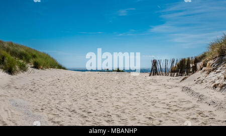 View over the dunes of Ameland, Holland Stock Photo