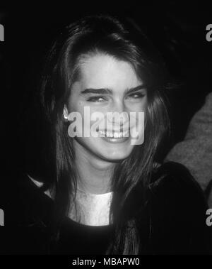 Brooke Shields 1984 Photo By John Barrett/PHOTOlink.net / MediaPunch ...