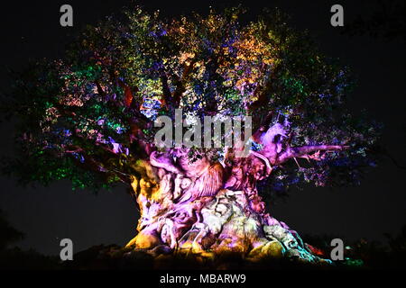 Tree of Life lit up at night at the Animal Kingdom Park in Disney World Stock Photo