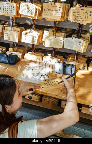 Tokyo Japan,Shibuya ku,Meiji Jingu Shinto Shrine,ema,wooden tablets,wishes,prayers,kanji,hiragana,characters,symbols,Japanese & English,Asian woman fe Stock Photo