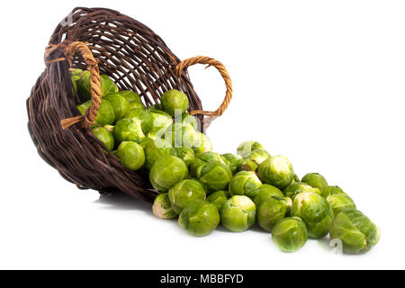 Basket with sprouts isolated on a white background Stock Photo
