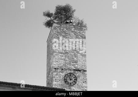 Isolated clock tower with a garden and bells on the roof (Spello, Umbria, Italy) Stock Photo